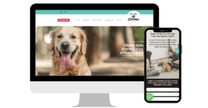 WEB DEVELOP SCHOOL SITE